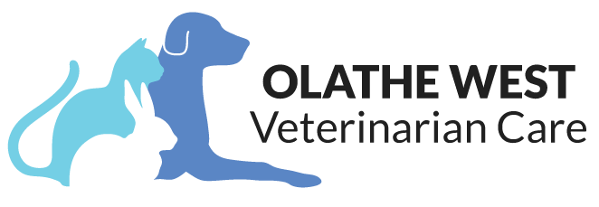 Olathe West Veterinary Care